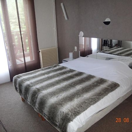 Hotel Bon Accueil Oyonnax Habitación foto